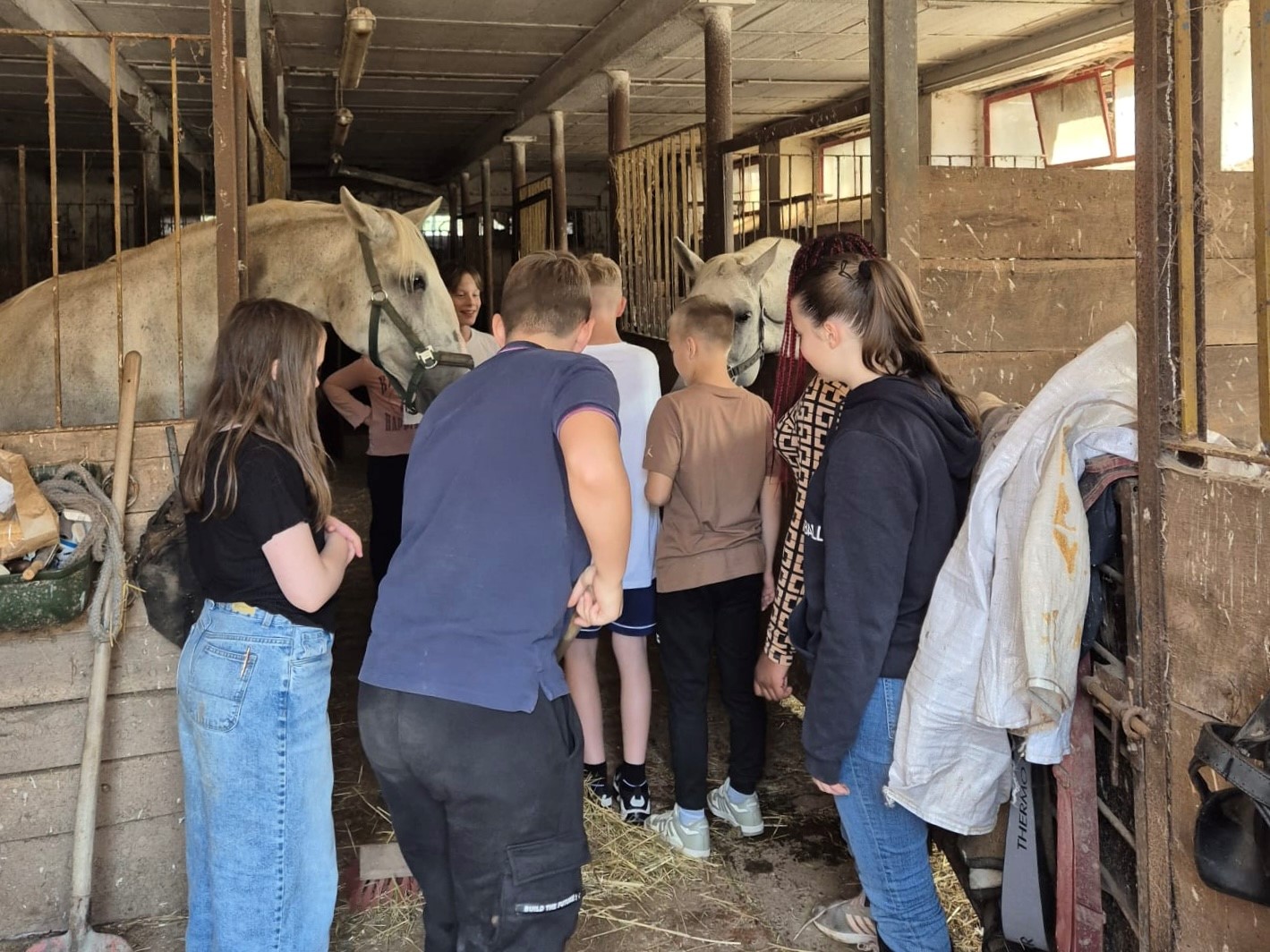 Besuch auf dem Pferdehof mit dem FGTS-Ferienprogramm